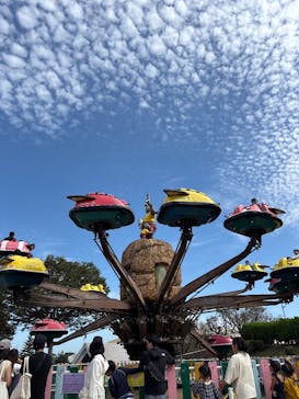 東京サマーランドに投稿された画像（2025/10/18）