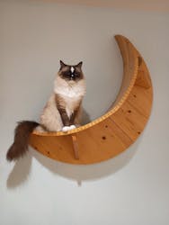 Cat Café MOFF 静岡PARCO店に投稿された画像（2025/10/18）