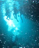 武藤潜水に投稿された画像（2025/10/18）