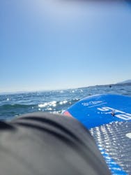 KALPA lake sports（カルパ レイク スポーツ）に投稿された画像（2025/10/18）