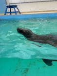 竹島水族館に投稿された画像（2025/10/18）