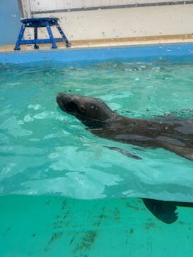 竹島水族館に投稿された画像（2025/10/18）