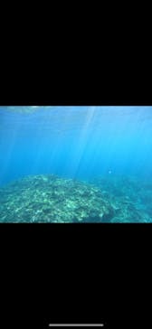 武藤潜水に投稿された画像（2025/10/18）