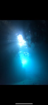 武藤潜水に投稿された画像（2025/10/18）