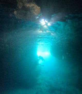 武藤潜水に投稿された画像（2025/10/18）