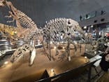 福井県立恐竜博物館に投稿された画像（2025/10/18）