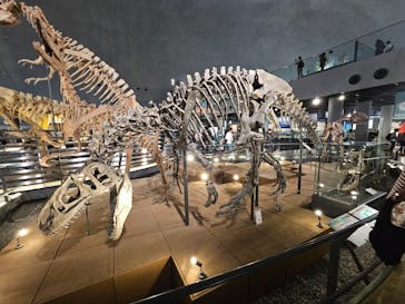 福井県立恐竜博物館に投稿された画像（2025/10/18）