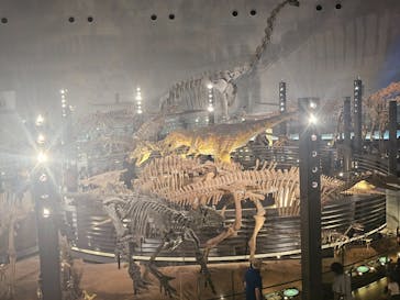 福井県立恐竜博物館に投稿された画像（2025/10/18）