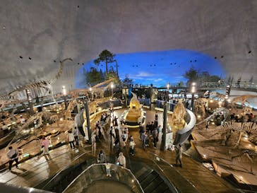 福井県立恐竜博物館に投稿された画像（2025/10/18）