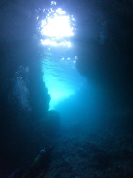 武藤潜水に投稿された画像（2025/10/18）