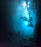 武藤潜水に投稿された画像（2025/10/18）