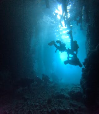 武藤潜水に投稿された画像（2025/10/18）