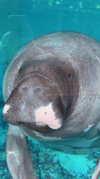 熱川バナナワニ園に投稿された画像（2025/10/18）