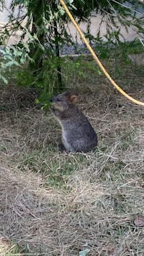 こども動物自然公園（埼玉県公園緑地協会）に投稿された画像（2025/10/18）