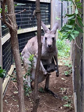 こども動物自然公園（埼玉県公園緑地協会）に投稿された画像（2025/10/18）