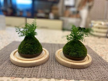 カルチャースクールいろはに投稿された画像（2025/10/18）