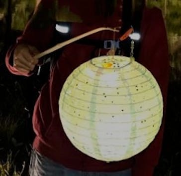 夜間特別開園 秋の夜長の小石川後楽園2025に投稿された画像（2025/10/18）