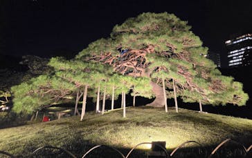 夜間特別開園 秋の夜長の小石川後楽園2025に投稿された画像（2025/10/18）
