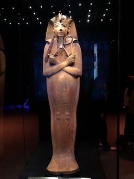 ACN ラムセス大王展 ファラオたちの黄金に投稿された画像（2025/10/18）