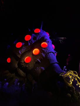 金曜ロードショーとジブリ展（静岡展）に投稿された画像（2025/10/18）