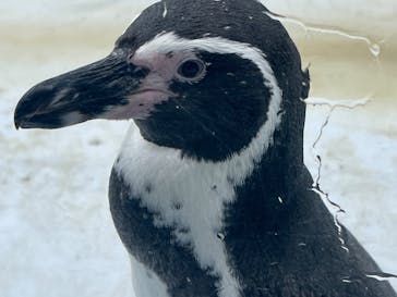 葛西臨海水族園に投稿された画像（2025/10/18）