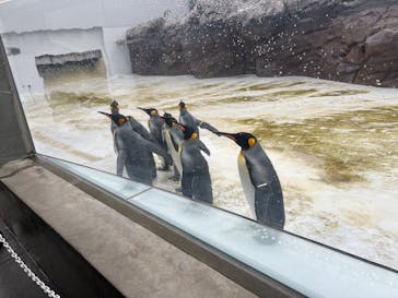 葛西臨海水族園に投稿された画像（2025/10/18）