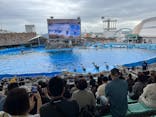 名古屋港水族館に投稿された画像（2025/10/18）