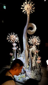 金曜ロードショーとジブリ展（静岡展）に投稿された画像（2025/10/18）