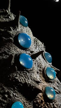 金曜ロードショーとジブリ展（静岡展）に投稿された画像（2025/10/18）