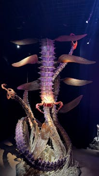 金曜ロードショーとジブリ展（静岡展）に投稿された画像（2025/10/18）