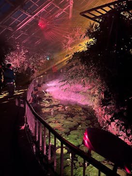 京都府立植物園　LIGHT CYCLES KYOTOに投稿された画像（2025/10/18）