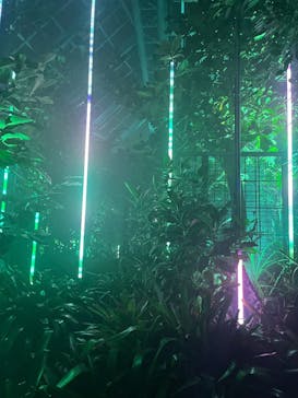 京都府立植物園　LIGHT CYCLES KYOTOに投稿された画像（2025/10/18）