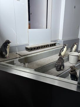 AOAO SAPPOROに投稿された画像（2025/10/18）