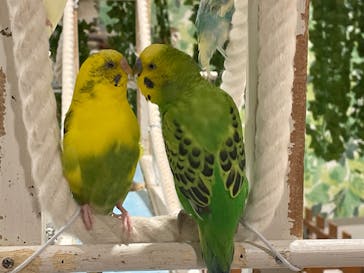 アニタッチアクアシティお台場に投稿された画像（2025/10/18）