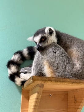 アニタッチアクアシティお台場に投稿された画像（2025/10/18）