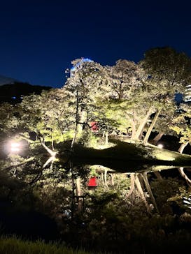 夜間特別開園 秋の夜長の小石川後楽園2025に投稿された画像（2025/10/18）