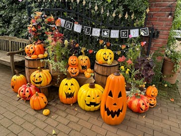 横浜イングリッシュガーデンに投稿された画像（2025/10/18）