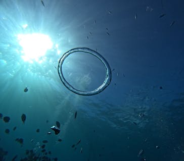 青の洞窟専門店　沖縄ダイビングショップ和に投稿された画像（2025/10/18）