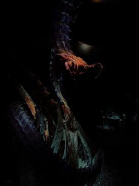 金曜ロードショーとジブリ展（静岡展）に投稿された画像（2025/10/18）