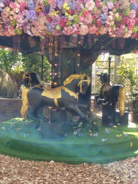 京成バラ園に投稿された画像（2025/10/18）