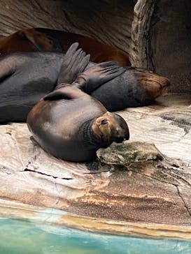 名古屋市東山動植物園に投稿された画像（2025/10/18）