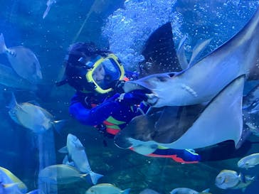 しながわ水族館に投稿された画像（2025/10/18）