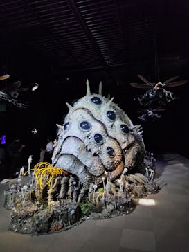 金曜ロードショーとジブリ展（静岡展）に投稿された画像（2025/10/18）