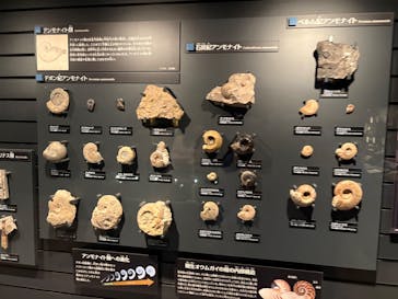 国立科学博物館に投稿された画像（2025/10/18）