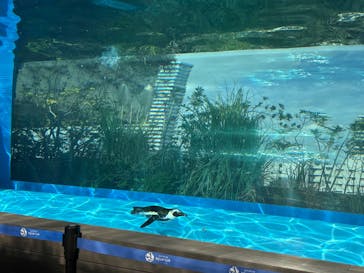 サンシャイン水族館に投稿された画像（2025/10/18）