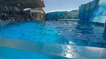 新江ノ島水族館に投稿された画像（2025/10/18）