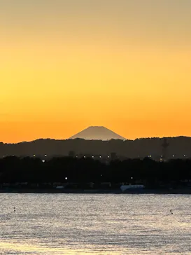 横浜・八景島シーパラダイスに投稿された画像（2025/10/18）