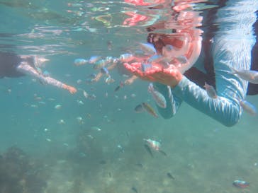 Okinawan supに投稿された画像（2025/10/18）