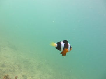 Okinawan supに投稿された画像（2025/10/18）