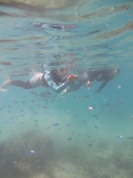 Okinawan supに投稿された画像（2025/10/18）